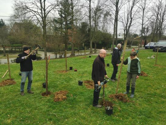 Aanplanten fruitbomen